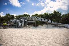 bahamas-2024-07