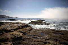 santa-cruz-2024-08