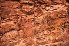 zion-2024-04