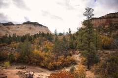 zion-2024-05