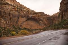 zion-2024-07
